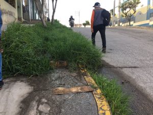 ASA: Vecinos de la calle Los Diamantes señalan que viven junto a agua de desagüe y las autoridades no hacen nada
