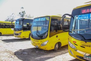Declaran en emergencia el servicio de transporte público en Cayma