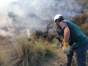 Serfor en alerta ante posibles incendios forestales por Semana Santa