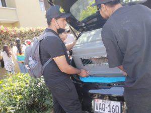 Rescatan al menos 18 canes con signos de maltrato y desnutrición en una vivienda del Cercado