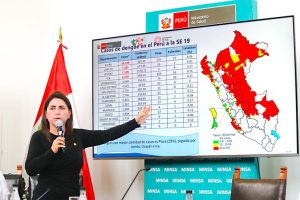 Ministerio de Salud conforma grupo de expertos para hacer frente al dengue en 20 regiones del país