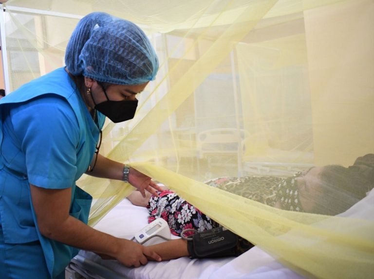 Dengue: Minsa descarta un desborde de casos en el país