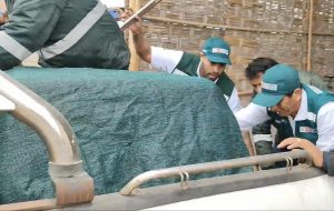 Serfor rescata a puma que ingresó a una vivienda en Tacna