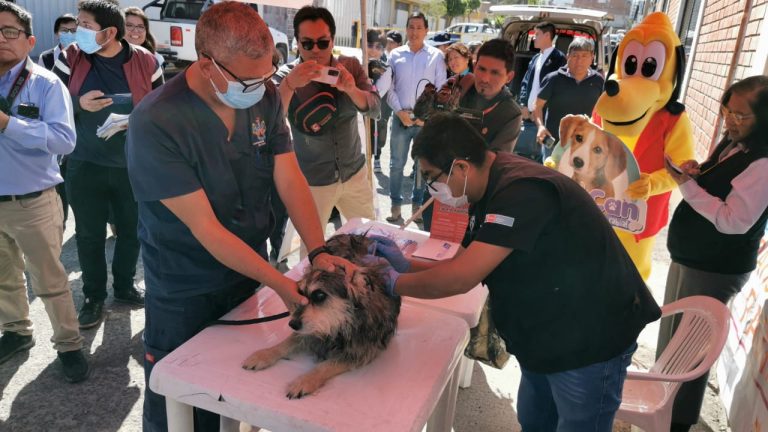 Campaña de vacunación antirrábica canina iniciará el 20 de mayo en Cayma