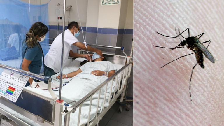 Perú registra la mayor tasa de muertes por dengue en toda América