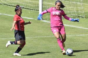Las Leonas Rojinegras tienen posibilidades de alcanzar la Liguilla por los Play-Offs.