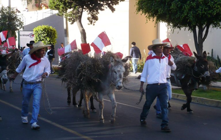 Después de tres años regresa la Entrada de Ccapo este 14 de agosto