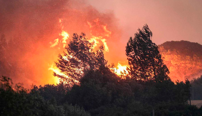 Incendios fuera de control dejan 40 muertos en el Mediterraneo