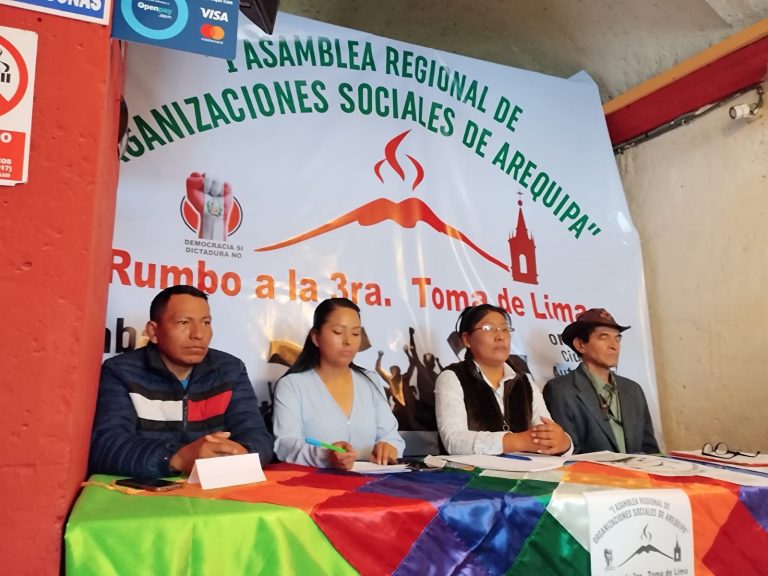 Autoconvocados de Cono Norte se reunirán para evaluar medias para la tercera toma de Lima