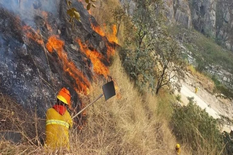 Incendio forestal en Machu Picchu consumió zona de amortiguamiento del parque arqueológico