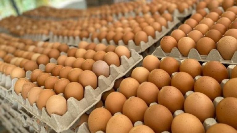 Advierten masivo ingreso de huevos de contrabando desde Ecuador y Bolivia