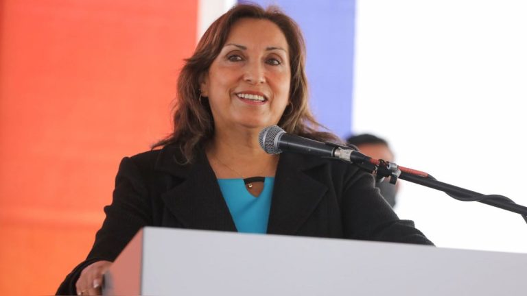 Dina Boluarte solicita al Congreso aprobar delegación de facultades legislativas