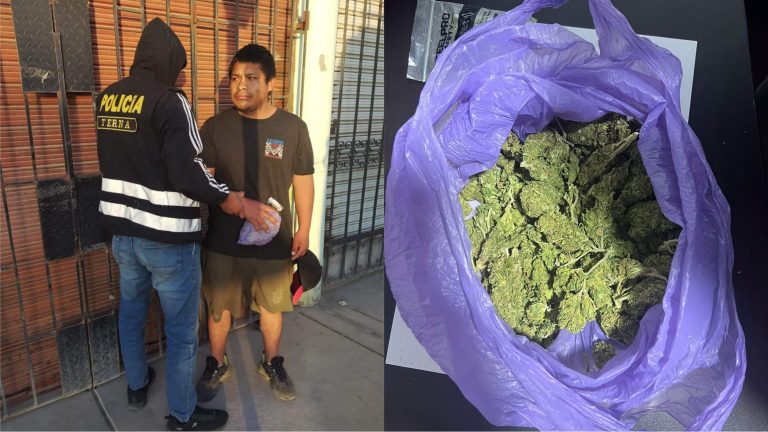 Detienen a joven con 480 gramos de marihuana en el distrito de Quequeña