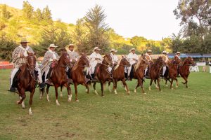 FOTO: Asociación de Criadores y Propietarios del Caballo Peruano de Paso Chilina Arequipa
