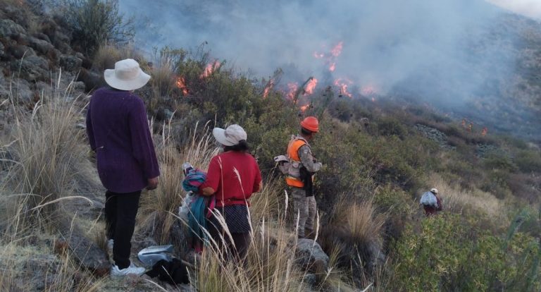 SERFOR pide apoyo aéreo de las Fuerzas Armadas para tratar de sofocar incendio forestal en Tuti
