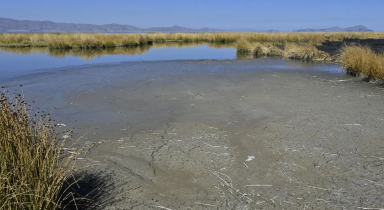 Cambio climático ocasiona descenso histórico de aguas en el lago Titicaca