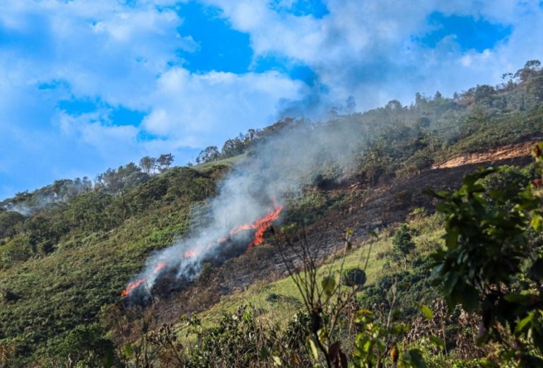 Nuevo incendio forestal se registra en Caylloma