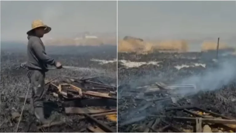 Incendio forestal en la isla de Los Uros arrasa con 250 hectáreas en el Lago Titicaca