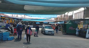 Terminal Pesquero cumple 25 años de creación