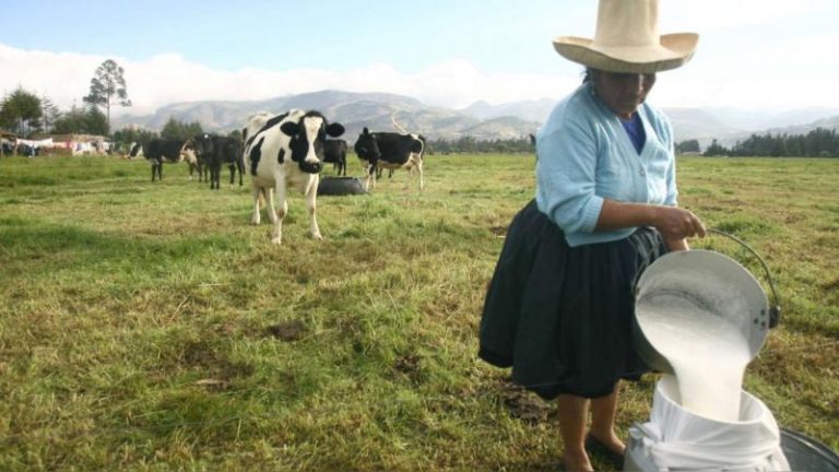 Ganaderos lecheros protestarán contra el Gobierno por incumplimiento de norma sobre leche fresca