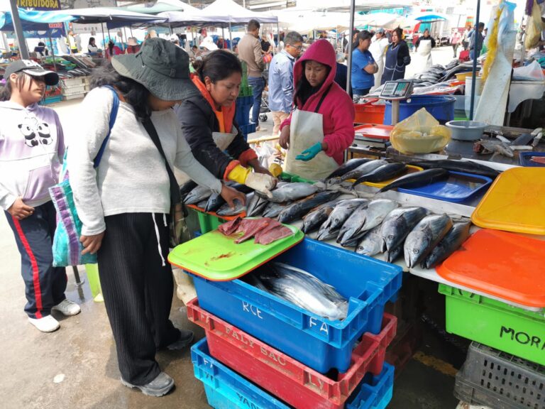 Conoce aquí el precio de pescados y mariscos en el Terminal Pesquero de Río Seco