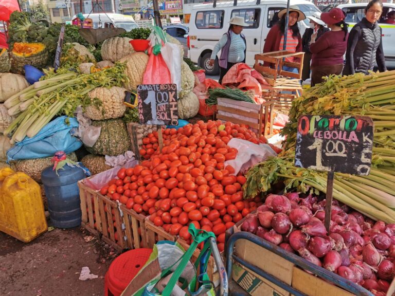 Conoce aquí el precio de frutas y verduras en la plataforma comercial Río Seco