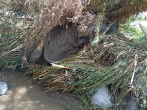 Adulto mayor murió tras ser arrastrado por un huaico a consecuencia de las fuertes lluvias