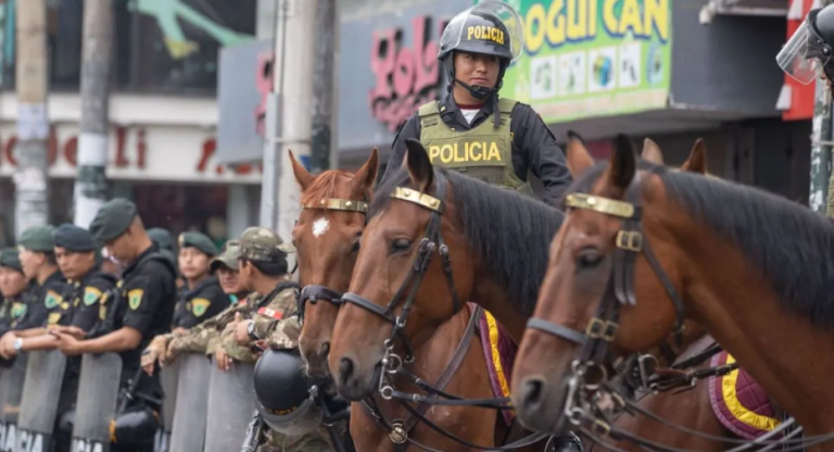 Proponen prohibir el uso de caballos para resguardar eventos sociales o deportivos