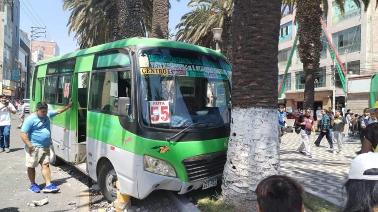 Bus de la ruta 55 se despista y choca contra palmera en el centro de Tacna