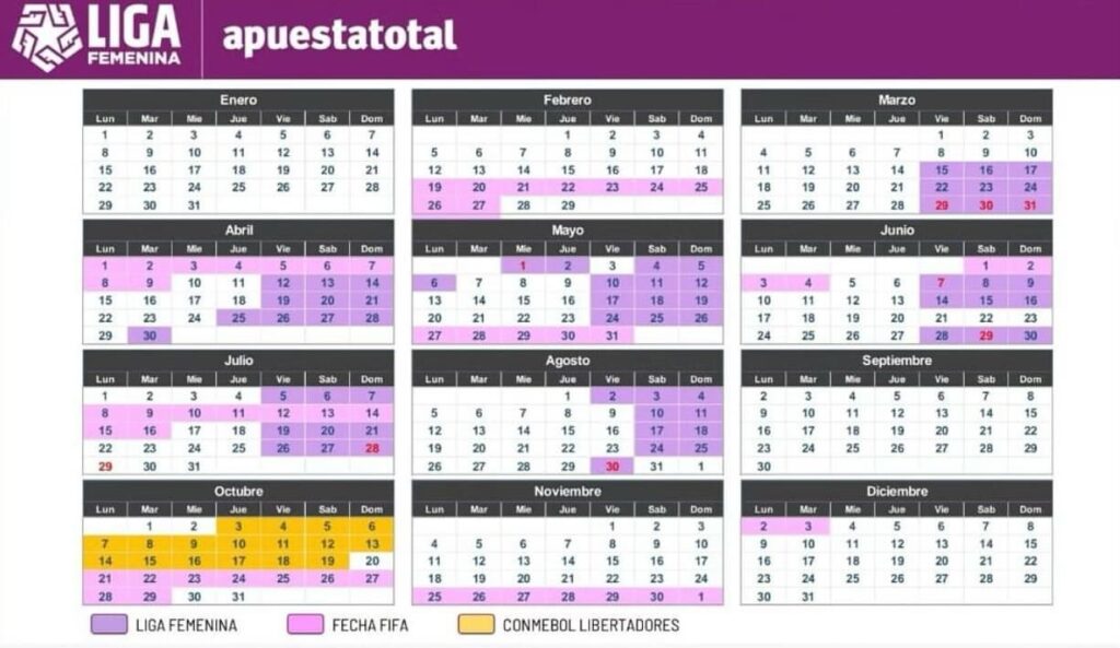 Calendario del Fútbol Femenino Peruano 2024, con la Liga Femenina y su duración de 6 meses.