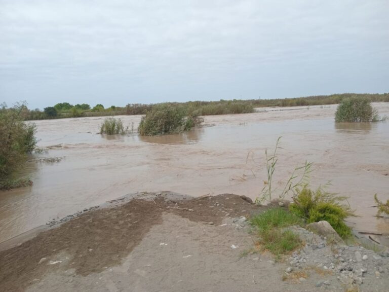 Camaná: 20 hectáreas de cultivos de arroz fueron afectados tras desborde del río Ocoña