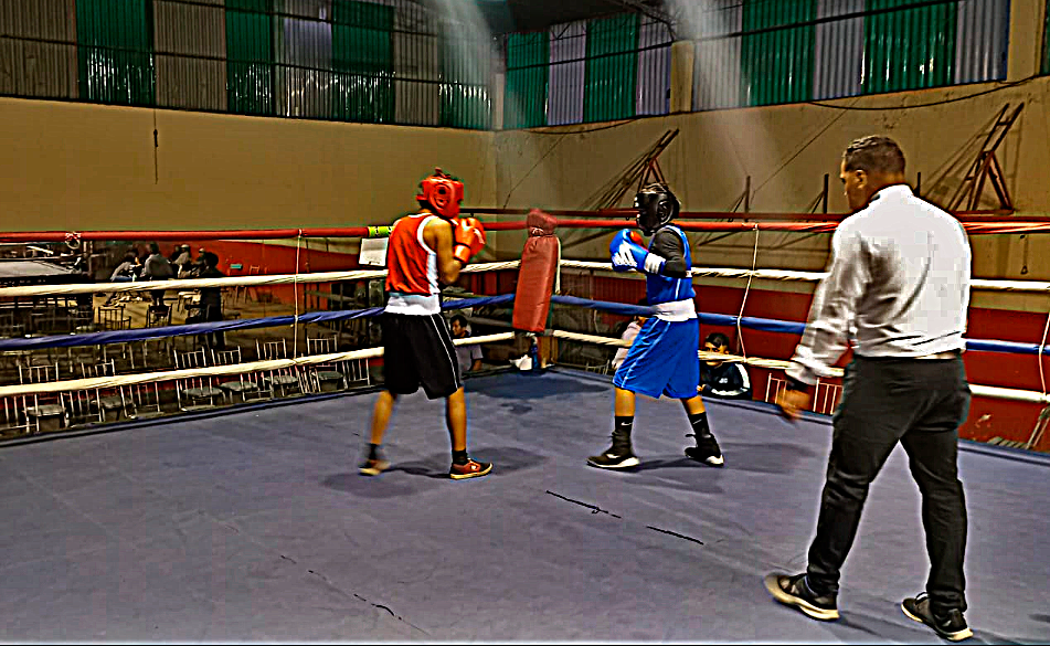 Éxito en la Clausura de la Escuela de Verano 2024 de la Asociación Regional de Boxeo de Arequipa