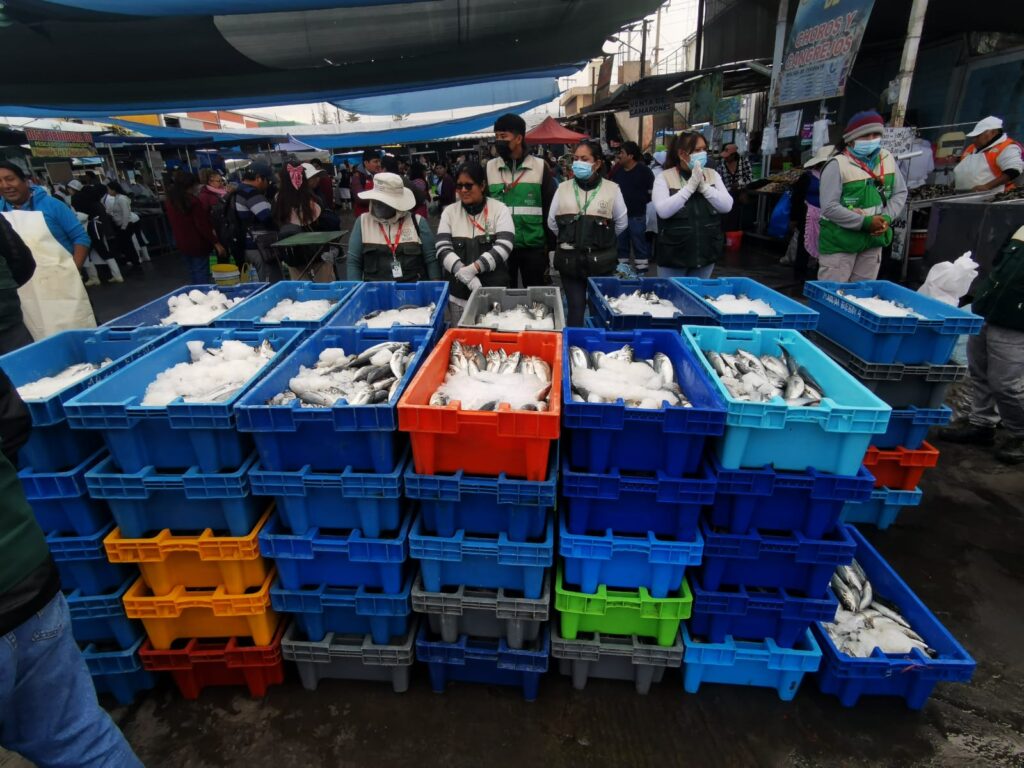 Retiene más de 1 tonelada d jurel en el Terminal Pesquero FOTO: Rosa Cabanillas / HBA Noticias