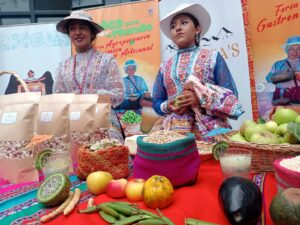 Agricultores de Caylloma