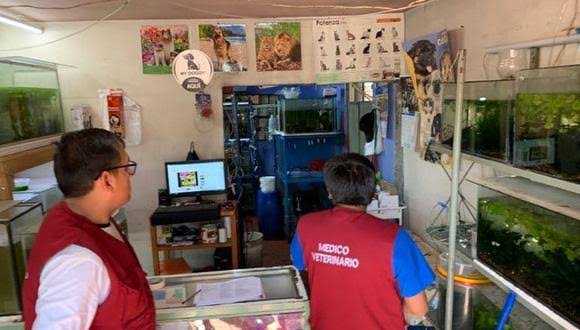 Arequipa: 41% de veterinarias son informales