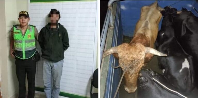 Detienen a varón acusado de robar ganado en Cusco