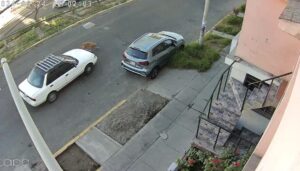 Conductor atropella a perro y se da a la fuga