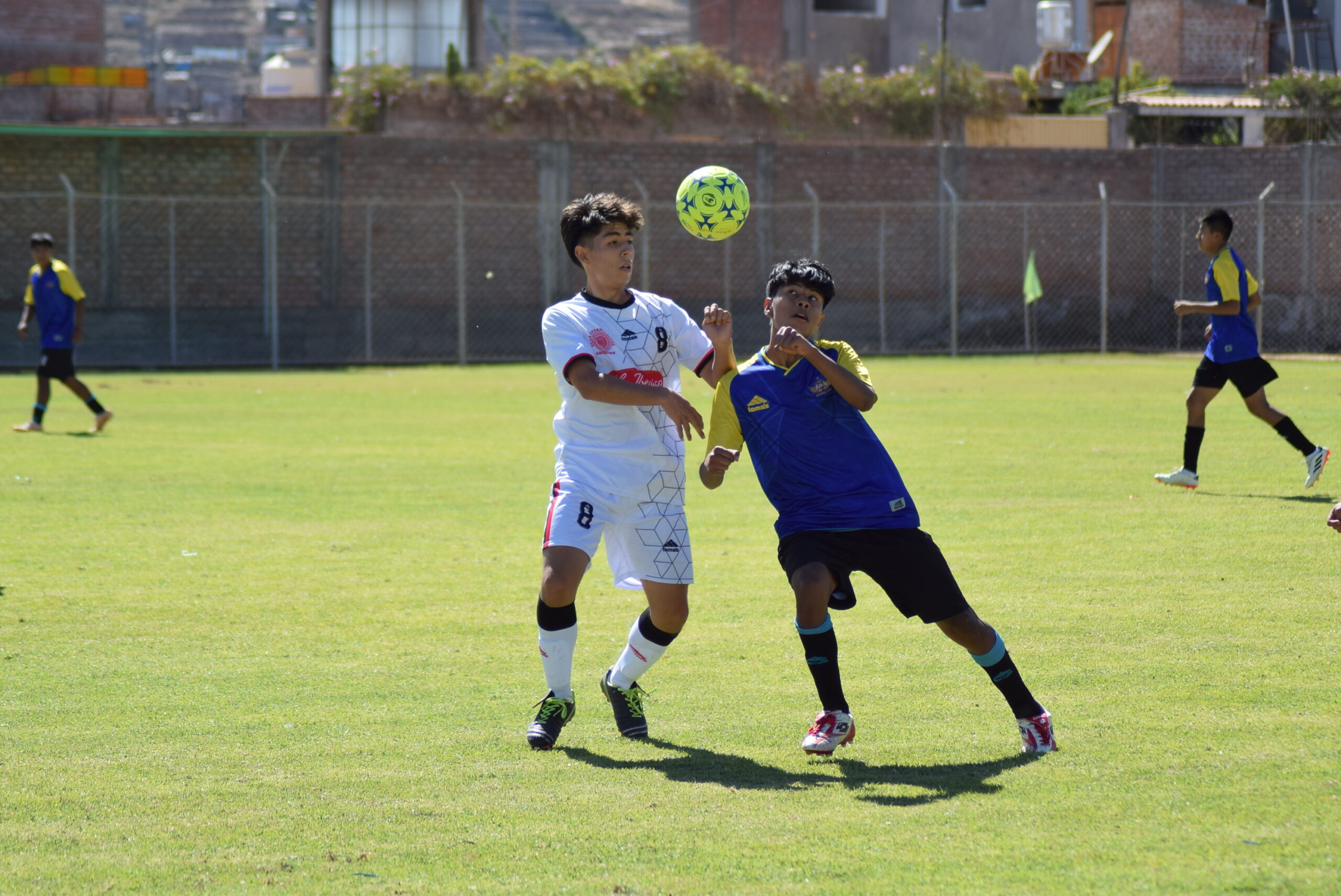 Ángeles Fox venció a Club Internacional por la sub-16 del Torneo Elite. 