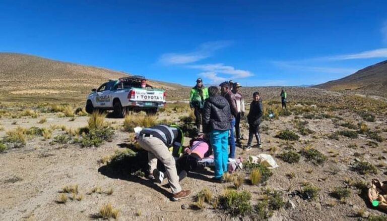 Tragedia en la vía Arequipa-Puno: mujer y su bebé de dos meses mueren tras despiste y volcadura en Imata