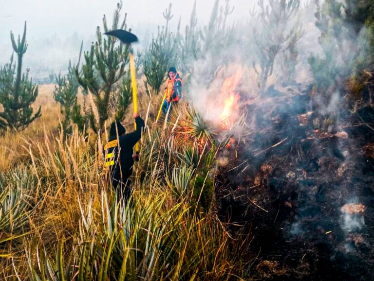 Cusco: Tras tres días de trabajo logran controlar gran incendio forestal en Canchis