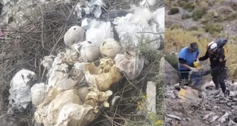 Aterrador hallazgo: 24 cráneos y una mandíbula humana son encontrados en Chiguata