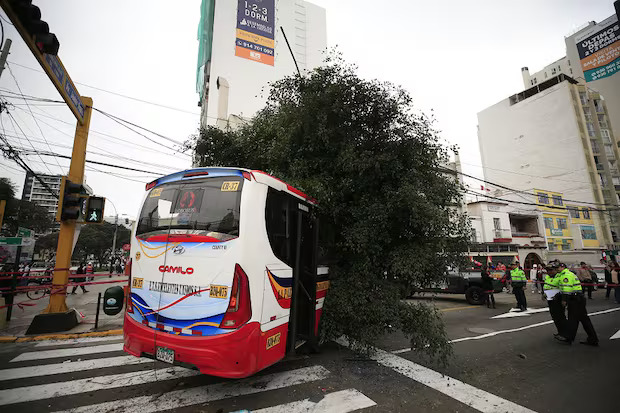 Peatón murió tras ser atropellado por bus de transporte público en Lima