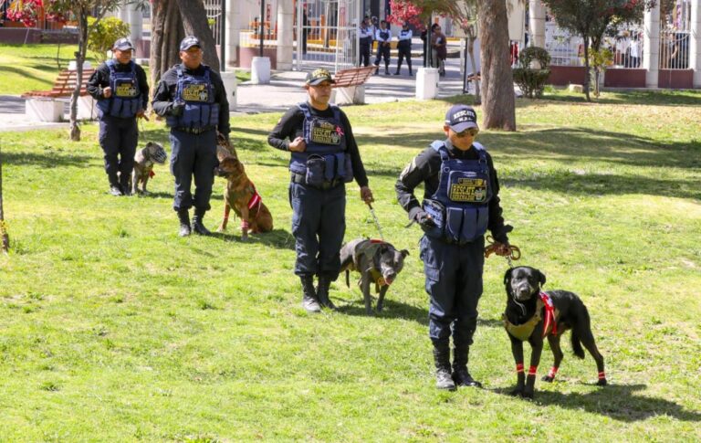 Presentan Brigada Canina para reforzar seguridad