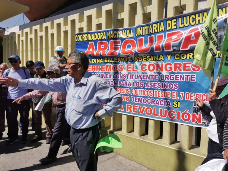 Delegación viajó a la capital para marchar contra el Gobierno de Dina Boluarte