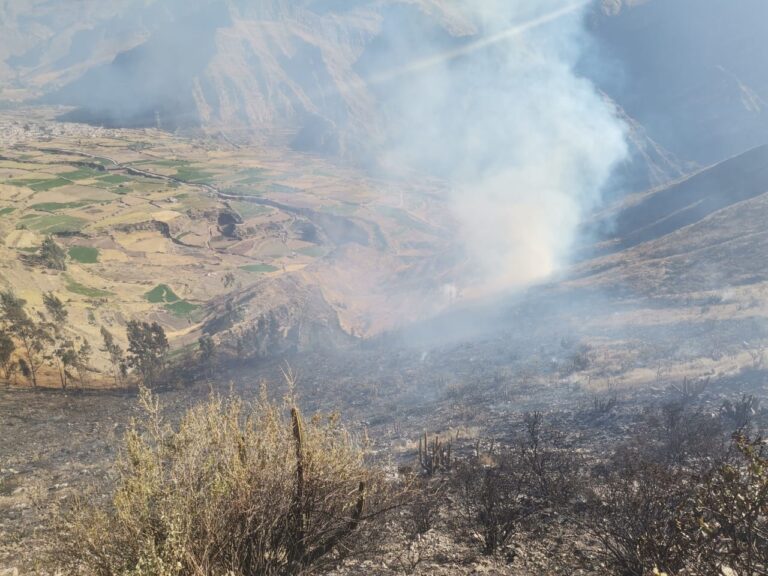 Caylloma: Incendio forestal fue controlado