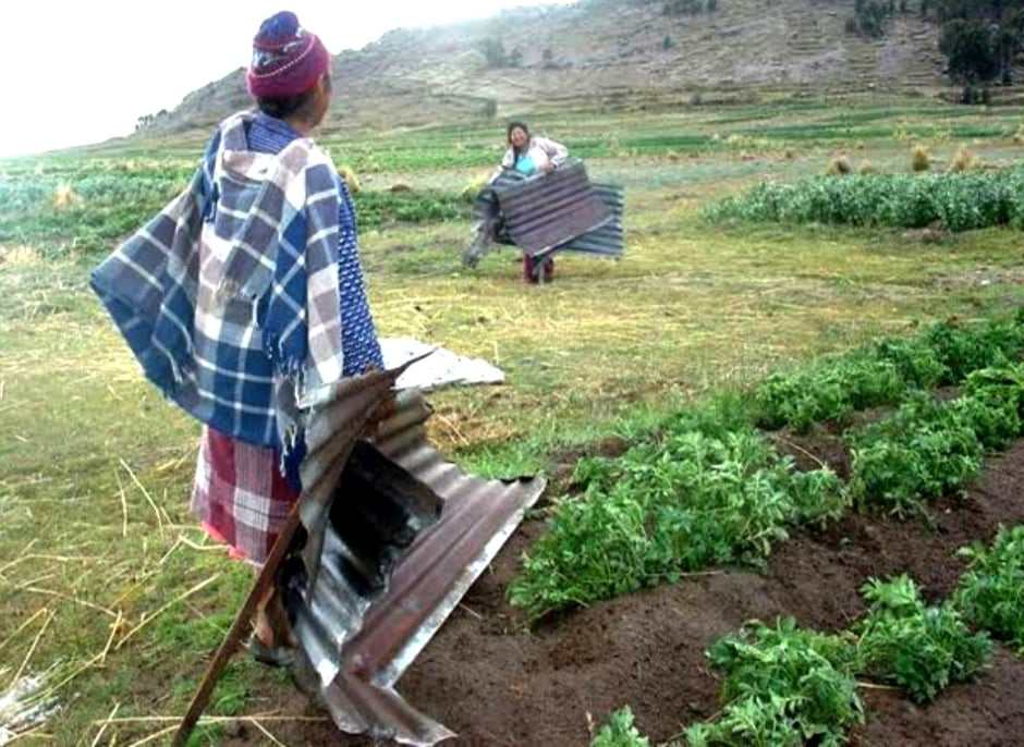 VIENTOS FUERTES Y TEMPERATURAS BAJAS: EL DÉCIMO FRIAJE DEL AÑO GOLPEA LA SELVA PERUANA – El primer periódico digital del Perú – Guik