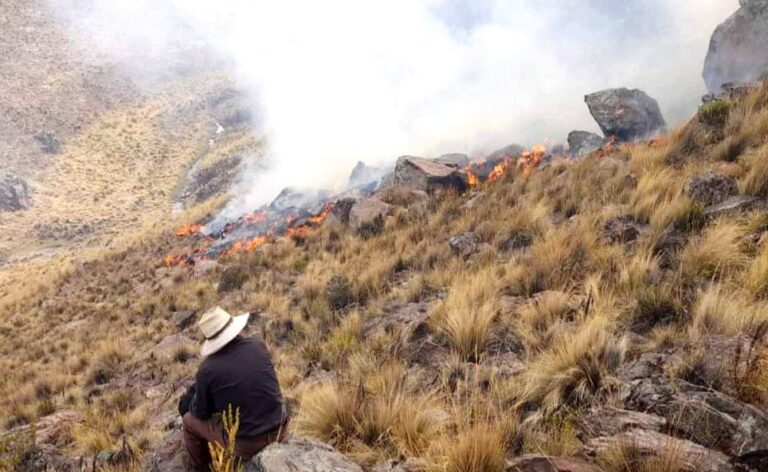 Incendio afecta pastizales en Caylloma