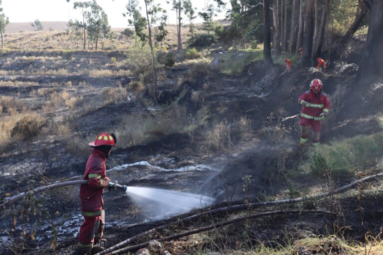 Equipos de emergencia controlan incendio en Chiguata