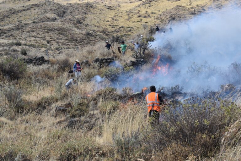 50 hectáreas afectadas tras incendio forestal en Chachas