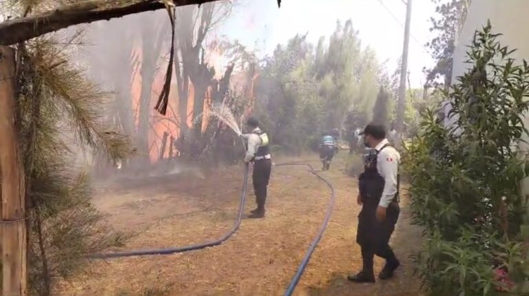 Incendio en la ribera del río Chili habría sido provocado por jóvenes que libaban licor